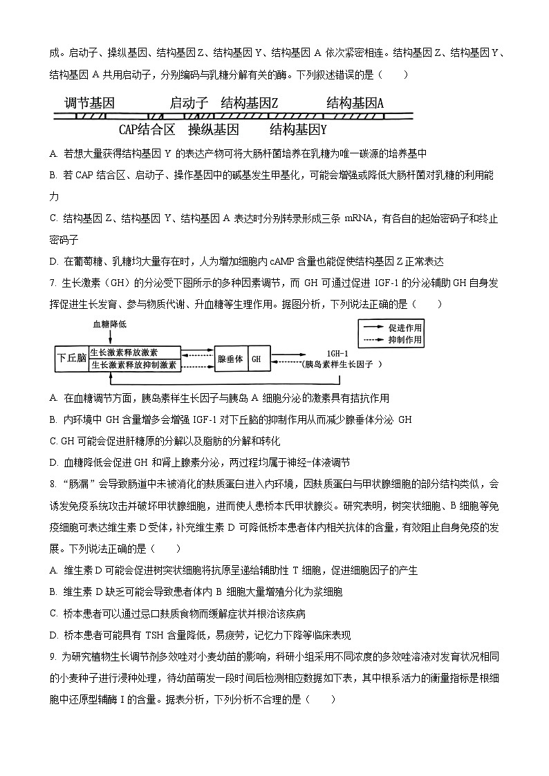 山东省名校联盟2024届高三下学期开学考试生物试题（Word版附解析）第3页