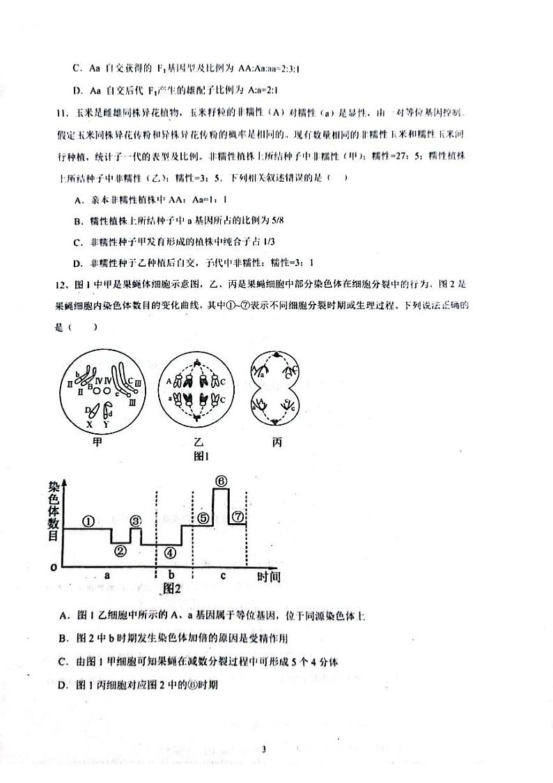 山东省泰安市宁阳县第一中学2023-2024学年高一下学期开学考试生物试题03