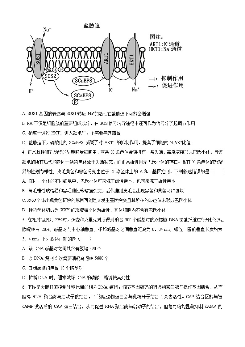 2024山东省名校联盟高三下学期开学考试生物试题第2页