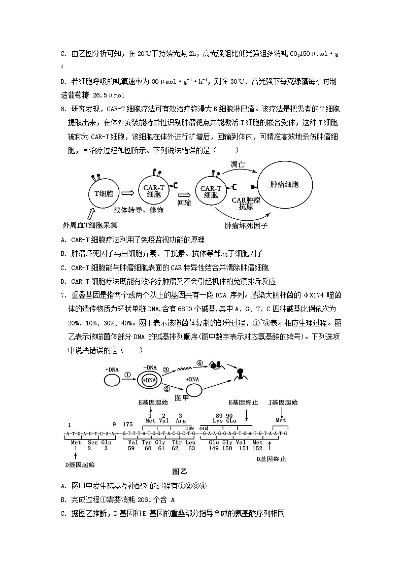 2024重庆市荣昌中学高三下学期开学考试生物含答案03