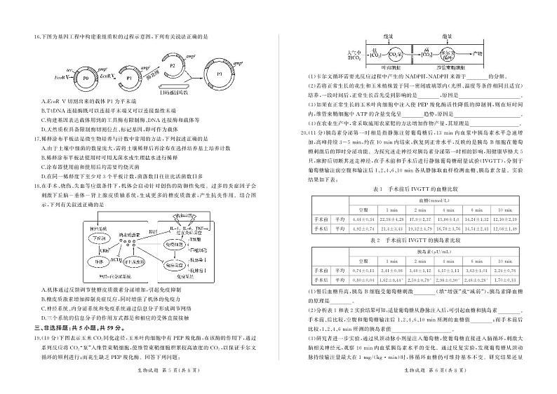 河北省石家庄市部分重点高中2023-2024学年高三上学期2月期末考试生物试卷（PDF版附解析）第3页