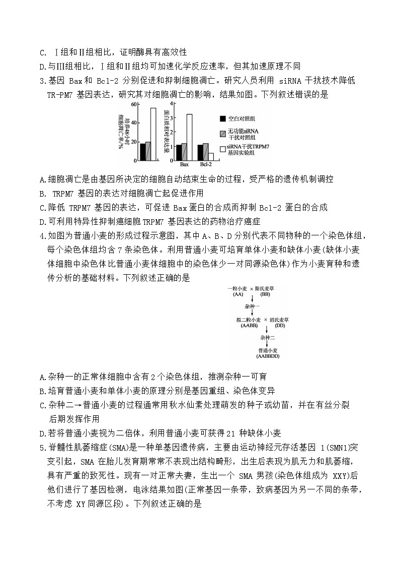 山东省部分名校2023-2024学年高三下学期2月大联考试题生物试卷（Word版附解析）02