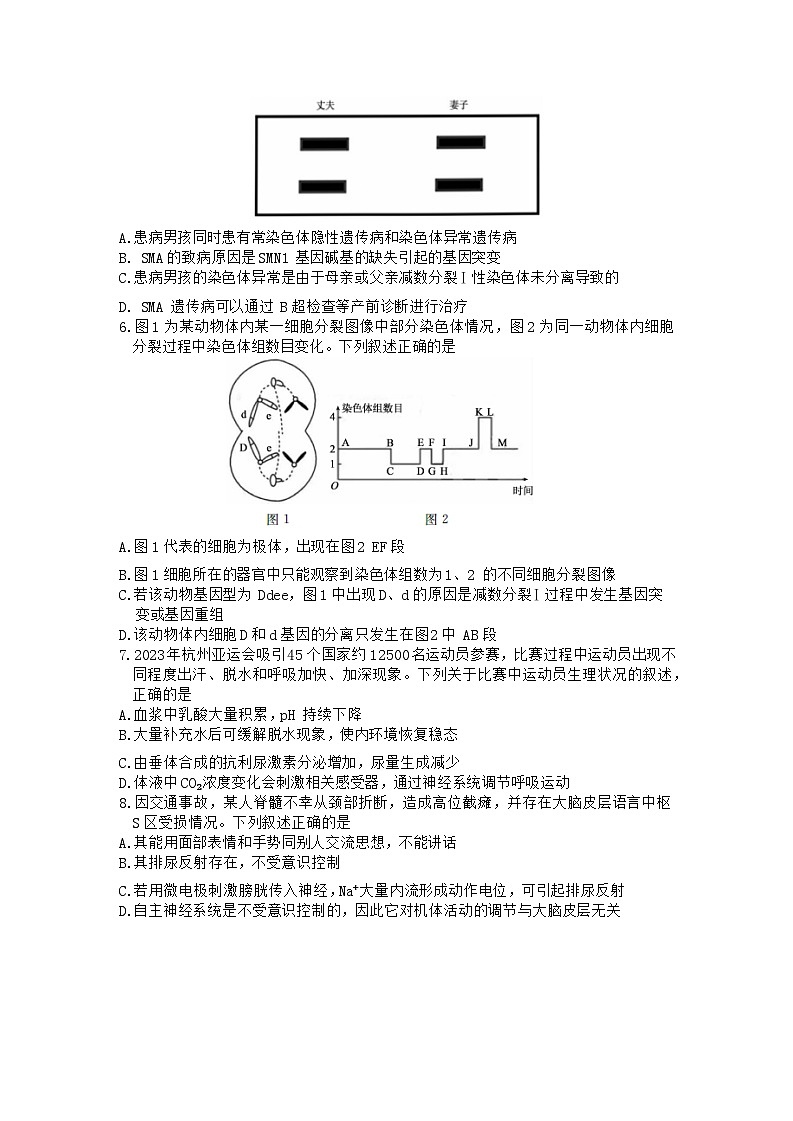 山东省部分名校2023-2024学年高三下学期2月大联考试题生物试卷（Word版附解析）03