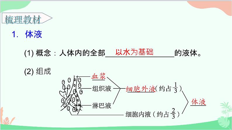 生物人教版(2019)选择性必修1 1.1 细胞生活的环境 课件第4页