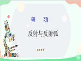 生物人教版(2019)选择性必修1 2.2 神经调节的基本方式 课件