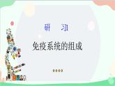 生物人教版(2019)选择性必修1 4.1 免疫系统的组成和功能 课件