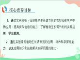 生物人教版(2019)选择性必修1 5.3 植物生长调节剂的应用 课件