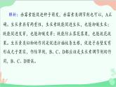 生物人教版(2019)选择性必修1 5.3植物生长调节剂的应用课件