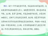 生物人教版(2019)选择性必修1 5.4环境因素参与调节植物的生命活动课件