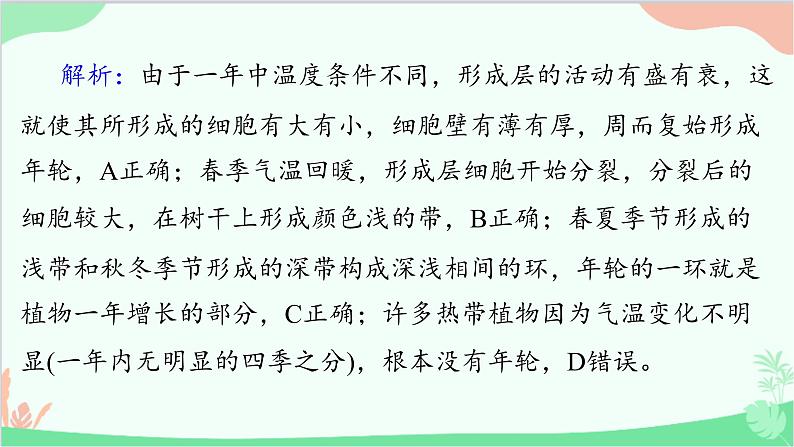 生物人教版(2019)选择性必修1 5.4环境因素参与调节植物的生命活动课件03