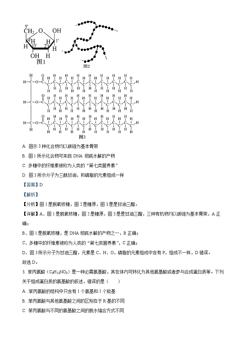 湖南省部分学校2023-2024学年高一上学期期末联考生物试题 Word版含解析第2页
