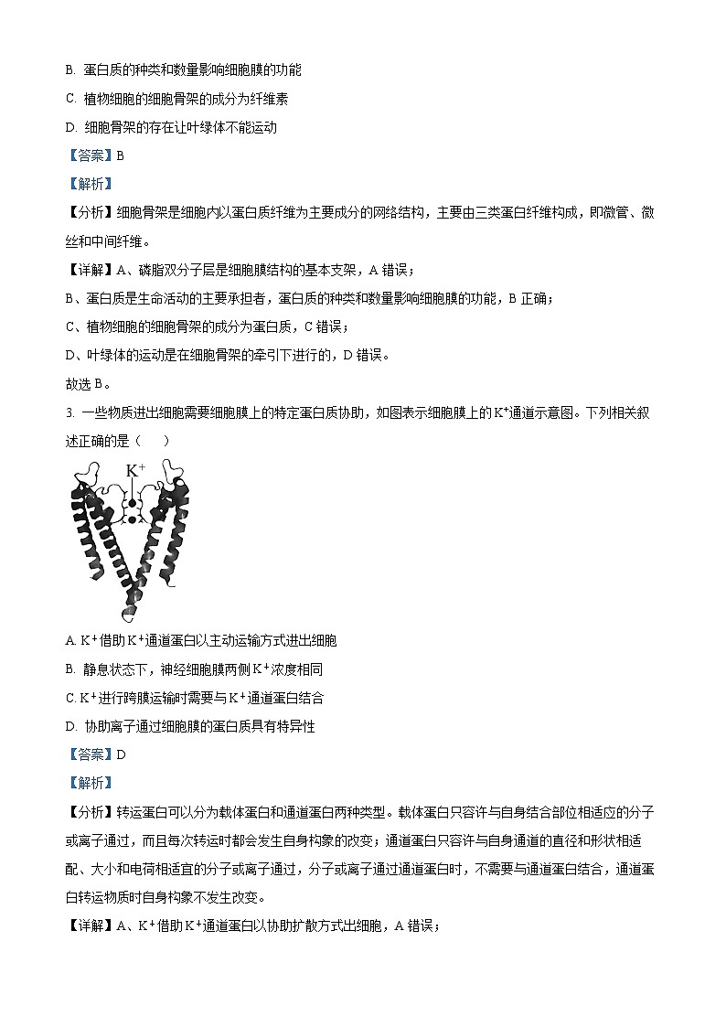安徽省亳州市2023-2024学年高三上学期1月期末生物试题（Word版附解析）02