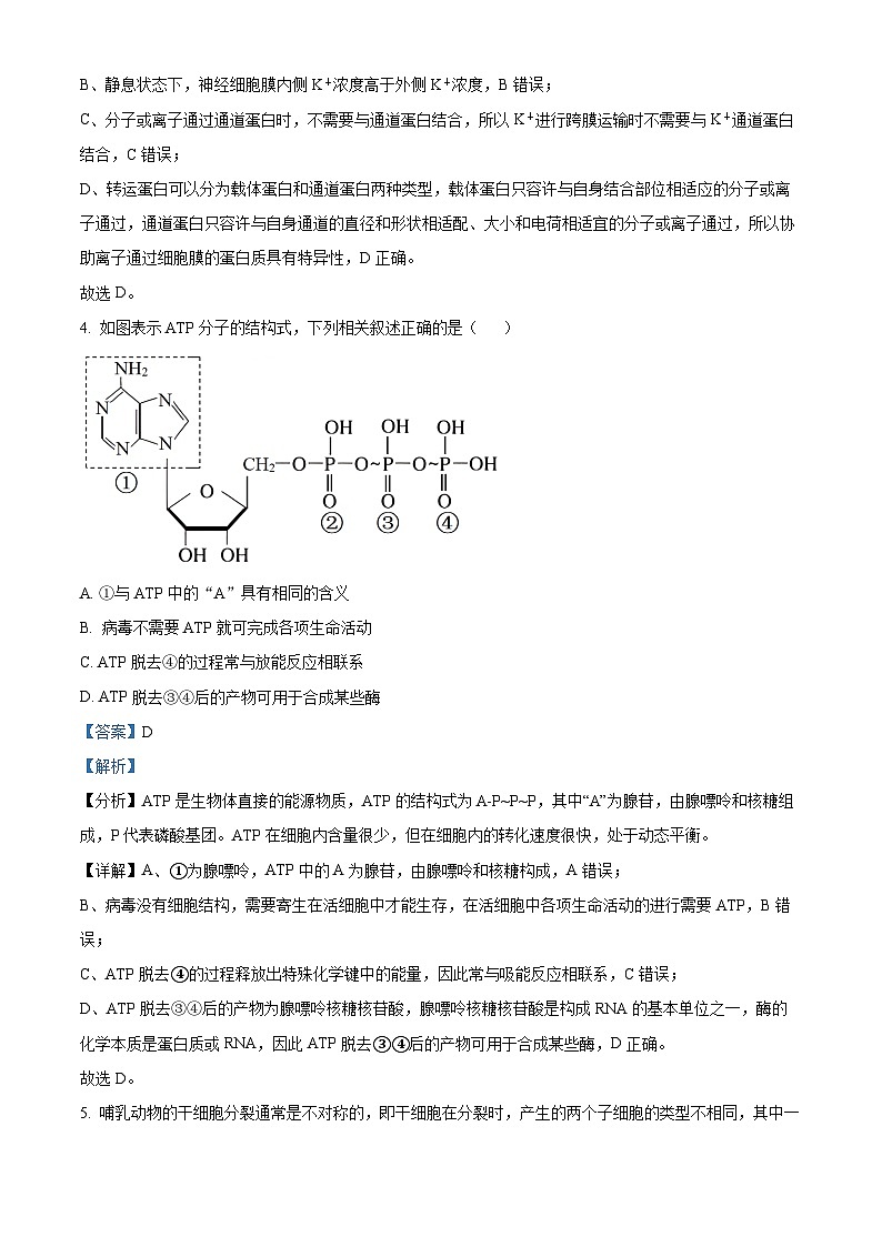 安徽省亳州市2023-2024学年高三上学期1月期末生物试题（Word版附解析）03