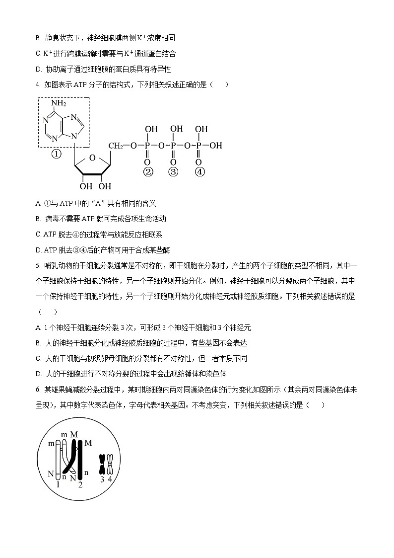 安徽省亳州市2023-2024学年高三上学期1月期末生物试题（Word版附解析）02
