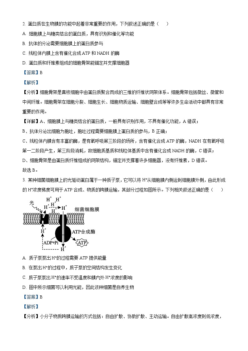 安徽省部分学校2023-2024学年高三上学期期末生物试题 Word版含解析第2页