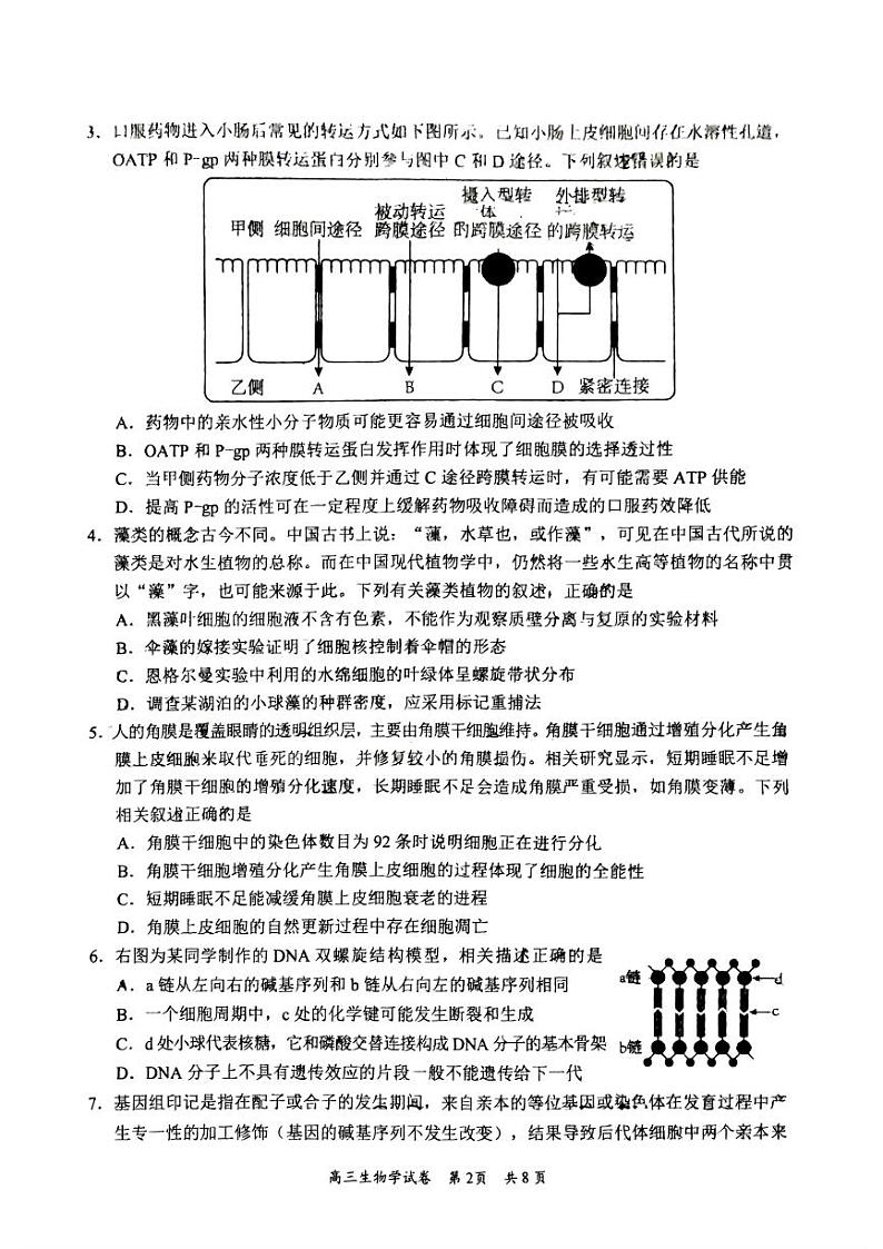 广东省梅州市2024届高三下学期总复习质检试题（一模）生物试题及答案02