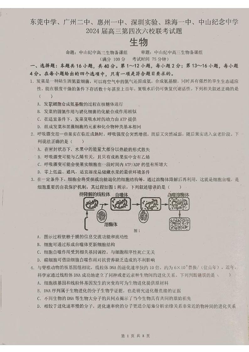 广东省东莞中学、广州二中、惠州一中、深圳实验、珠海一中、中山纪念中学2024届高三第四次六校联考 生物第1页