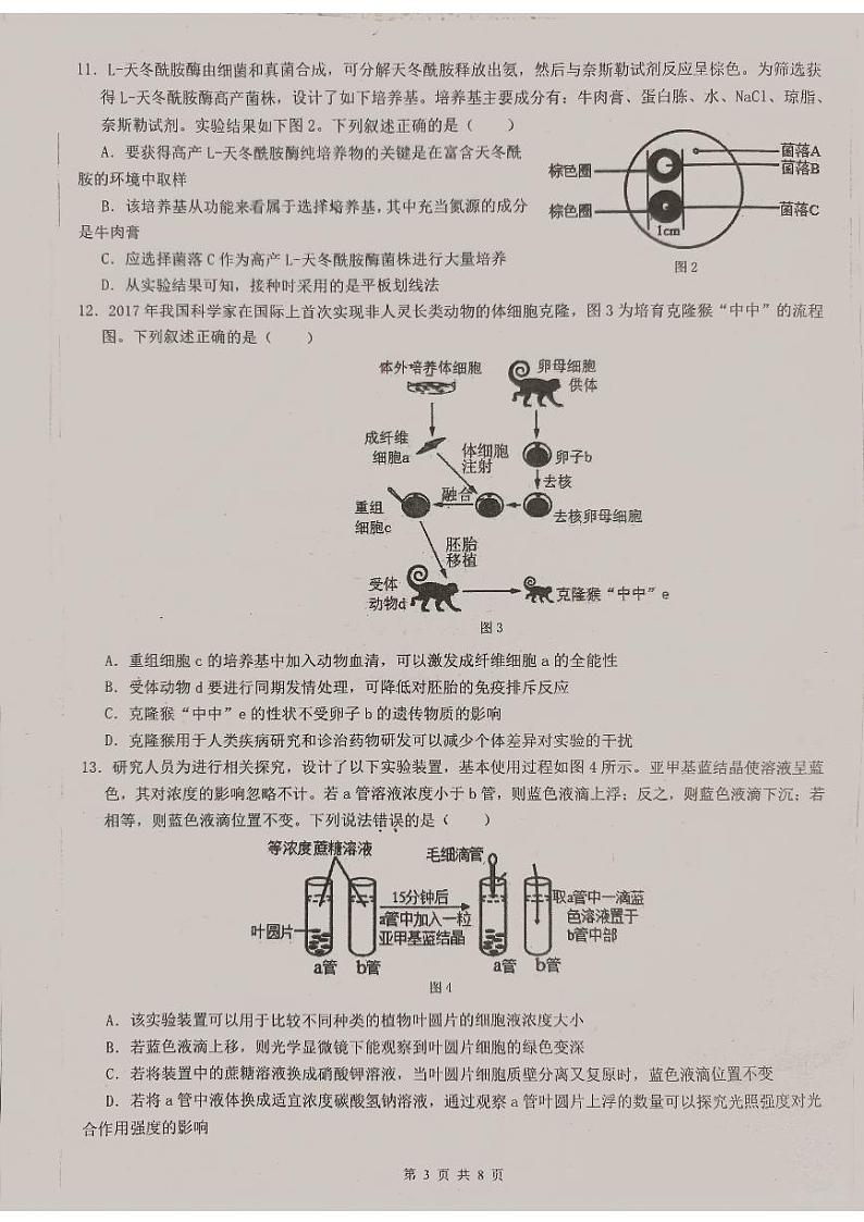 广东省东莞中学、广州二中、惠州一中、深圳实验、珠海一中、中山纪念中学2024届高三第四次六校联考 生物第3页