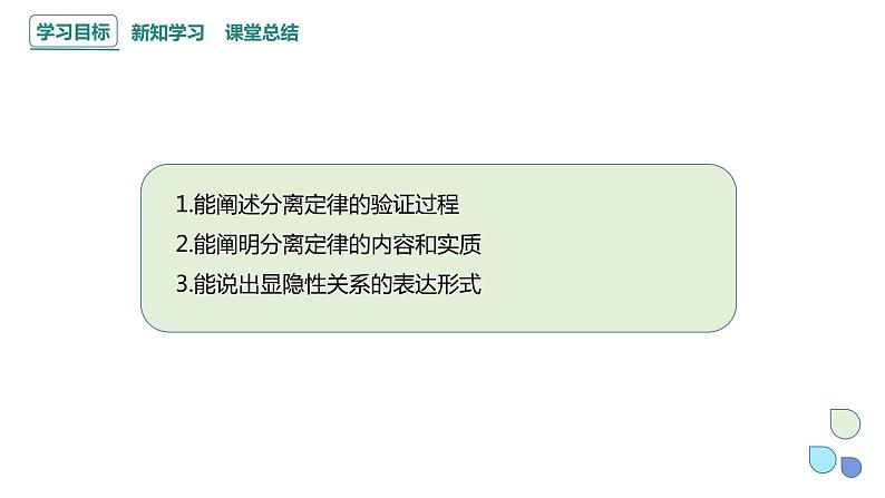 1.1 课时2 孟德尔从一对相对性状的杂交实验中总结出分离定律 课件 2023-2024学年高一生物浙科版（2019）必修202