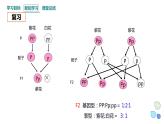 1.1 课时2 孟德尔从一对相对性状的杂交实验中总结出分离定律 课件 2023-2024学年高一生物浙科版（2019）必修2