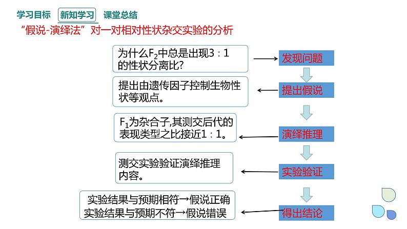 1.1 课时2 孟德尔从一对相对性状的杂交实验中总结出分离定律 课件 2023-2024学年高一生物浙科版（2019）必修208