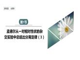 1.1 课时3 孟德尔从一对相对性状的杂交实验中总结出分离定律 课件 2023-2024学年高一生物浙科版（2019）必修2