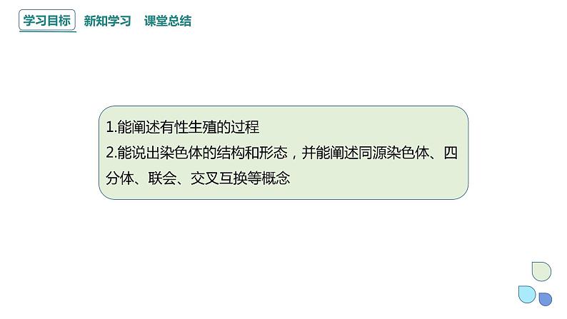 2.1 课时1 染色体通过配子传递给子代（1） 课件 2023-2024学年高一生物浙科版（2019）必修202