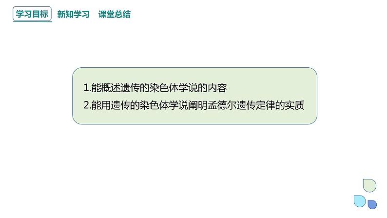 2.2 基因伴随染色体传递 课件 2023-2024学年高一生物浙科版（2019）必修202