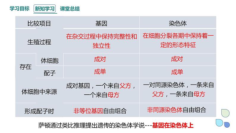 2.2 基因伴随染色体传递 课件 2023-2024学年高一生物浙科版（2019）必修205