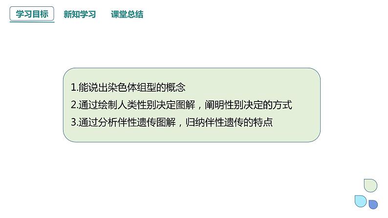 2.3 性染色体上基因的传递和性别相关联 课件 2023-2024学年高一生物浙科版（2019）必修2第2页