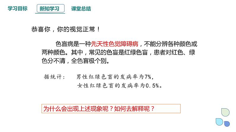 2.3 性染色体上基因的传递和性别相关联 课件 2023-2024学年高一生物浙科版（2019）必修2第4页