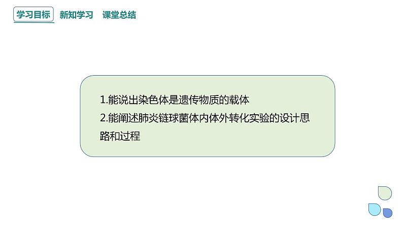 3.1 课时1 核酸是遗传物质 课件 2023-2024学年高一生物浙科版（2019）必修202