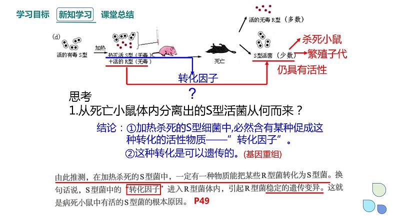 3.1 课时1 核酸是遗传物质 课件 2023-2024学年高一生物浙科版（2019）必修208