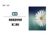 3.1 课时2 核酸是遗传物质 课件 2023-2024学年高一生物浙科版（2019）必修2