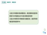 3.1 课时2 核酸是遗传物质 课件 2023-2024学年高一生物浙科版（2019）必修2