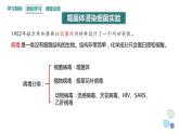3.1 课时2 核酸是遗传物质 课件 2023-2024学年高一生物浙科版（2019）必修2