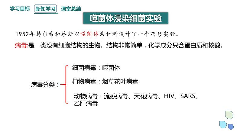 3.1 课时2 核酸是遗传物质 课件 2023-2024学年高一生物浙科版（2019）必修203