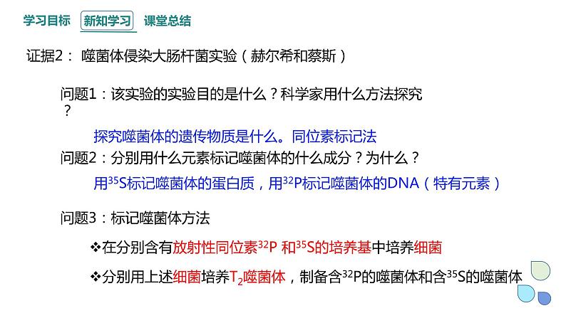 3.1 课时2 核酸是遗传物质 课件 2023-2024学年高一生物浙科版（2019）必修207