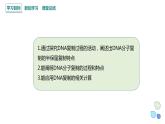 3.3 DNA通过复制传递遗传信息 课件 2023-2024学年高一生物浙科版（2019）必修2