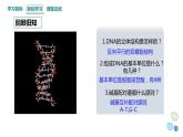 3.3 DNA通过复制传递遗传信息 课件 2023-2024学年高一生物浙科版（2019）必修2