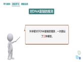 3.3 DNA通过复制传递遗传信息 课件 2023-2024学年高一生物浙科版（2019）必修2