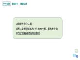 3.4 课时3 基因控制蛋白质合成 课件 2023-2024学年高一生物浙科版（2019）必修2