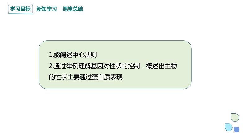 3.4 课时3 基因控制蛋白质合成 课件 2023-2024学年高一生物浙科版（2019）必修2第2页