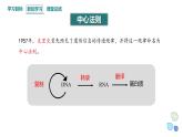 3.4 课时3 基因控制蛋白质合成 课件 2023-2024学年高一生物浙科版（2019）必修2