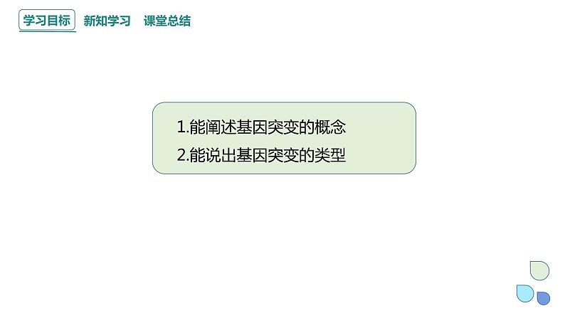 4.1 课时1 基因突变可能引起性状改变 课件 2023-2024学年高一生物浙科版（2019）必修202