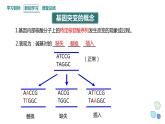 4.1 课时1 基因突变可能引起性状改变 课件 2023-2024学年高一生物浙科版（2019）必修2