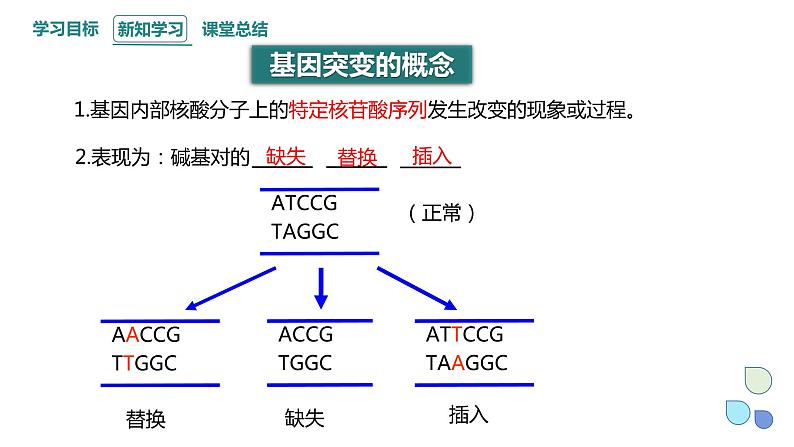 4.1 课时1 基因突变可能引起性状改变 课件 2023-2024学年高一生物浙科版（2019）必修204