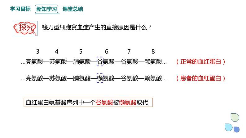 4.1 课时1 基因突变可能引起性状改变 课件 2023-2024学年高一生物浙科版（2019）必修207