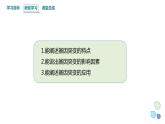 4.1 课时2 基因突变可能引起性状改变 课件 2023-2024学年高一生物浙版（2019）必修2