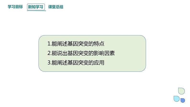 4.1 课时2 基因突变可能引起性状改变 课件 2023-2024学年高一生物浙版（2019）必修202